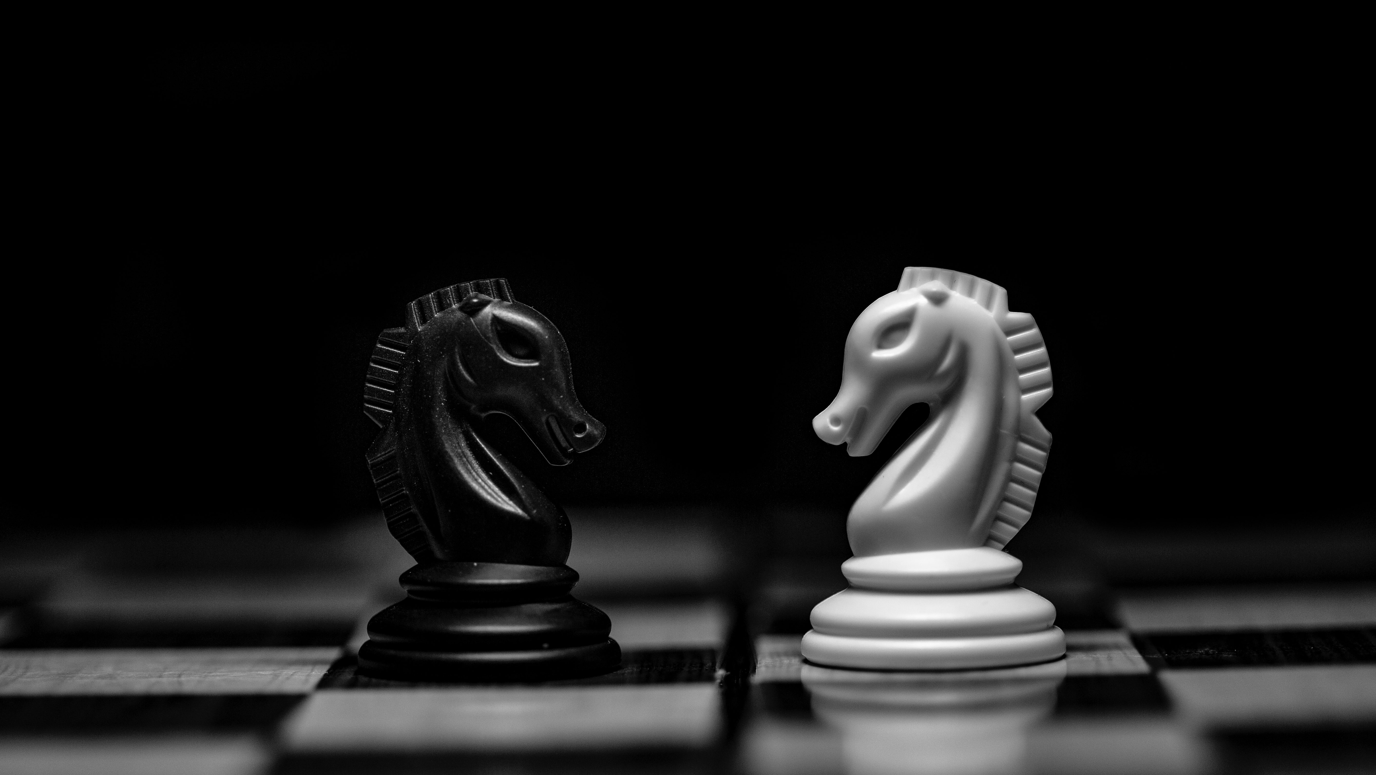 Chess horses competition