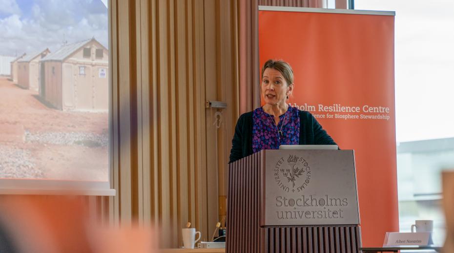 SIPRI joins high-level meeting of the Stockholm Hub on Environment, Climate and Security