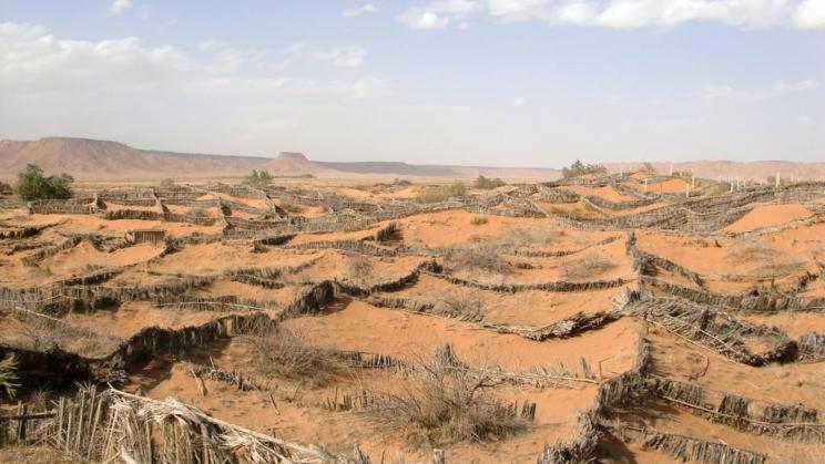 Anti-desertification sand fences south of the town of Erfoud, Morocco