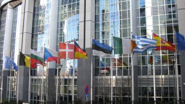 European flags outside the European Parliament