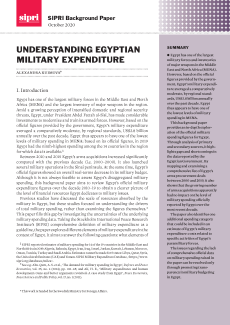 Understanding Egyptian Military Expenditure