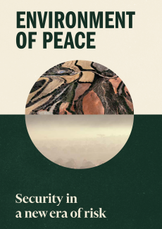 Environment of Peace cover