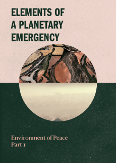 elements_of_a_planetary_emergency-_environment_of_peace_part_1