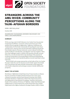 Strangers Across the Amu River Policy Brief