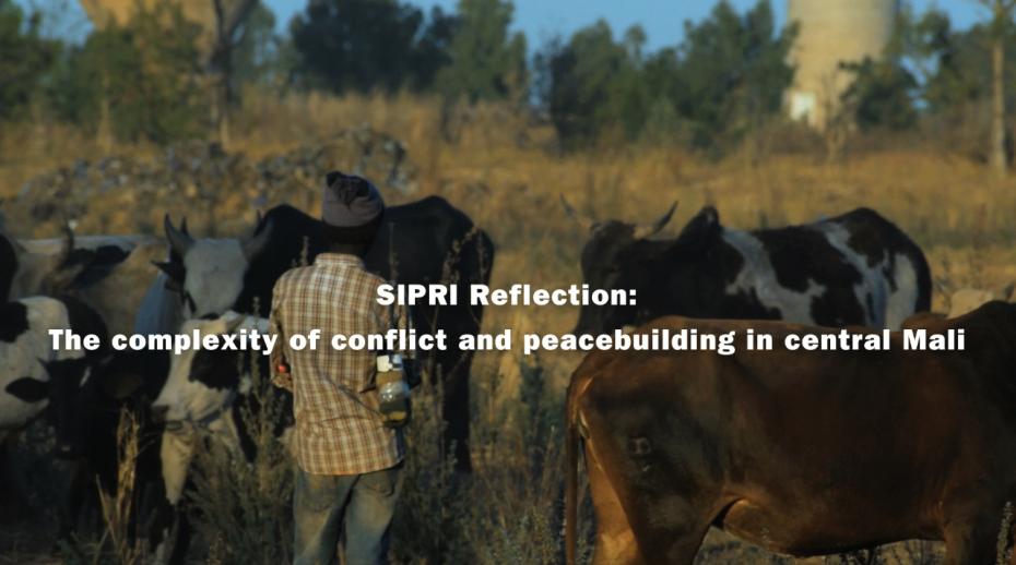 Addressing a key challenge in central Mali: The need for local knowledge—new SIPRI film