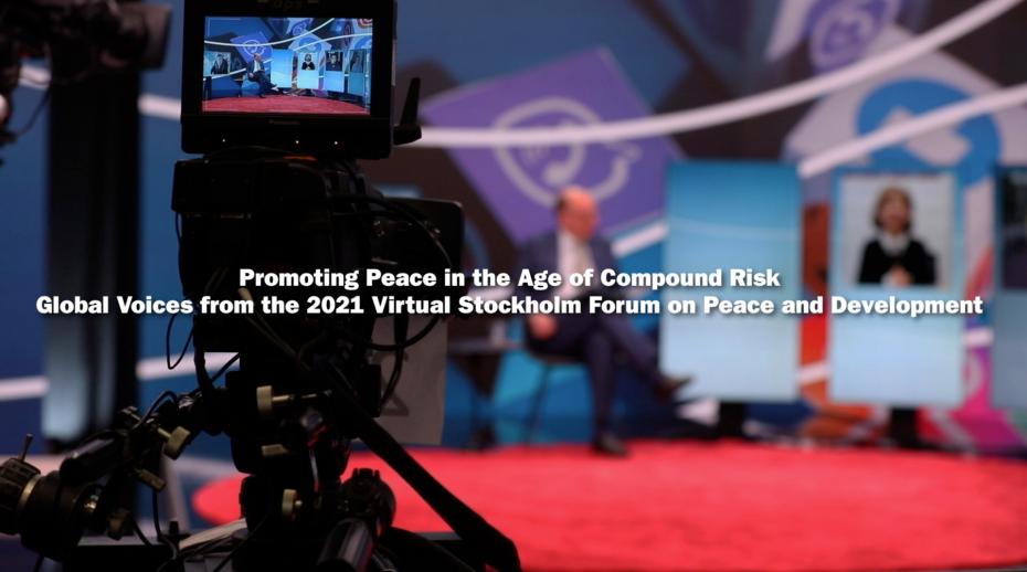 Promoting Peace in the Age of Compound Risk—New SIPRI film
